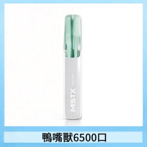 MISTX TE鴨嘴獸6500 Puffs抛棄式一次性抛棄式電子煙