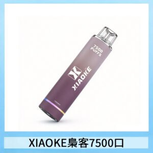 XIAOKE梟客7500Puffs跑馬燈拋棄式電子煙 可發光一次性