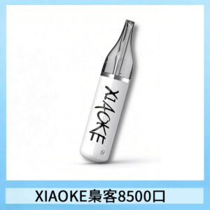 梟客XIAOKE8500口拋棄式一次性電子煙 口紅款高顏值設計